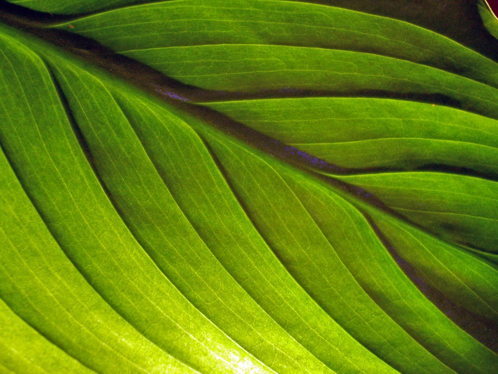 Photograph by Валерий