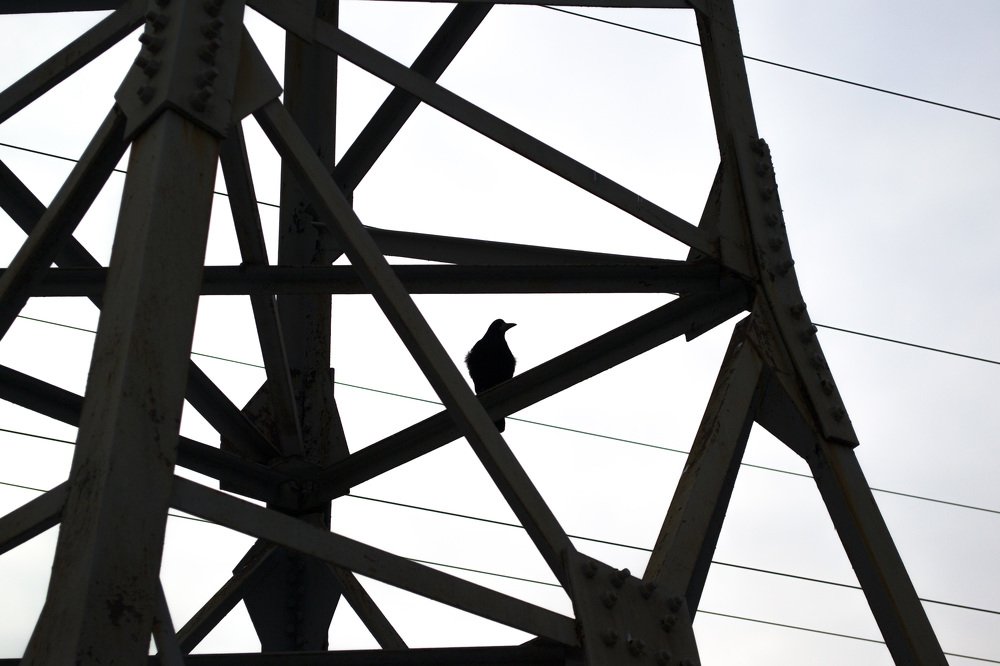 Photograph by Sergey Merkulov