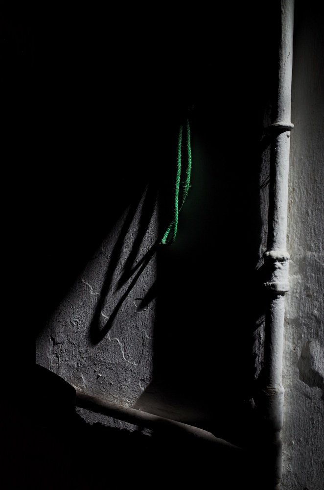 Photo #3753455