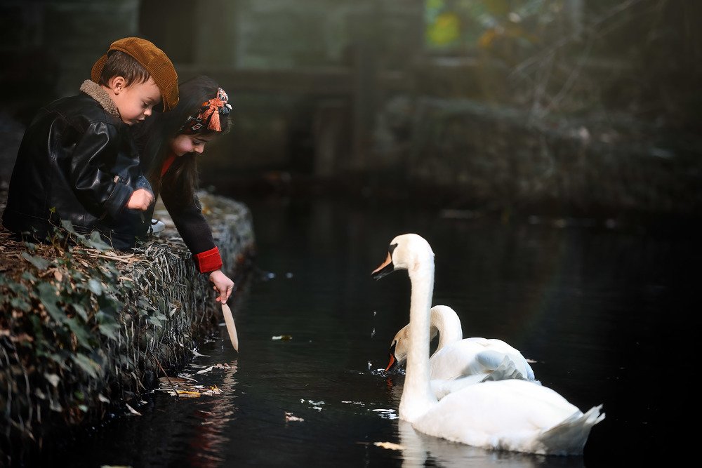 Photograph by Денис Черепко