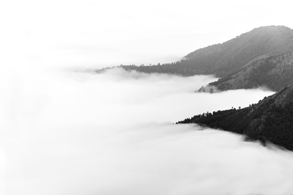 Photograph by Hamed R.Khosroshahi