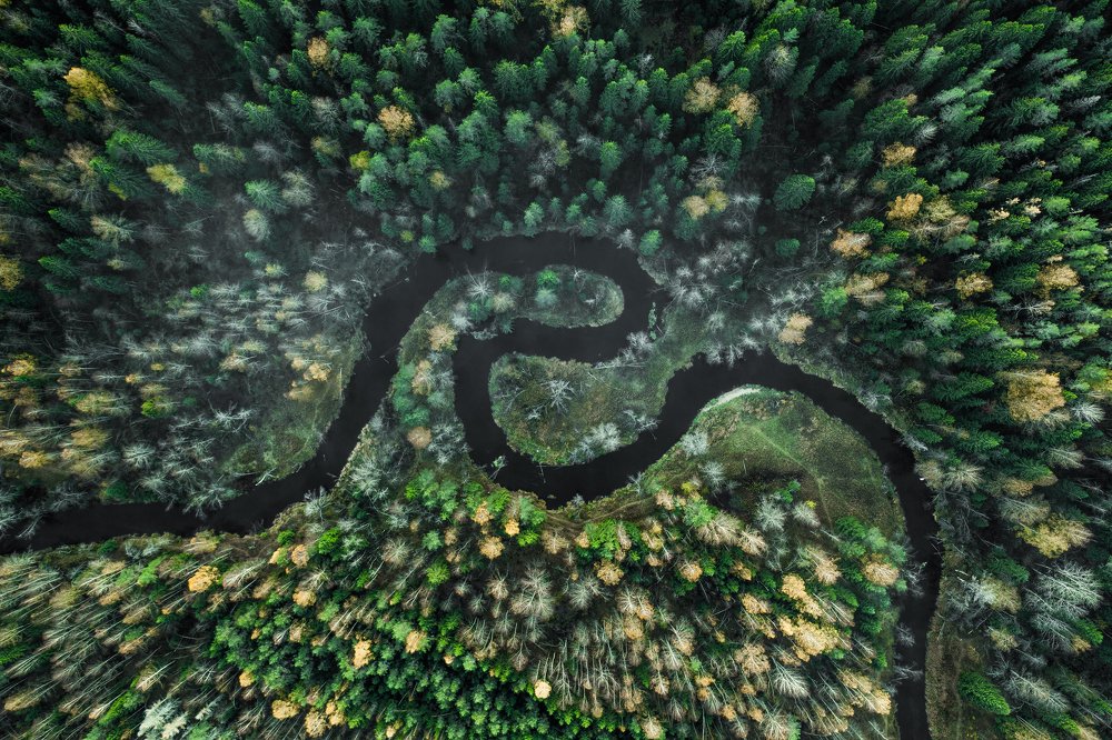 Фотография автора Pavel Reshetov