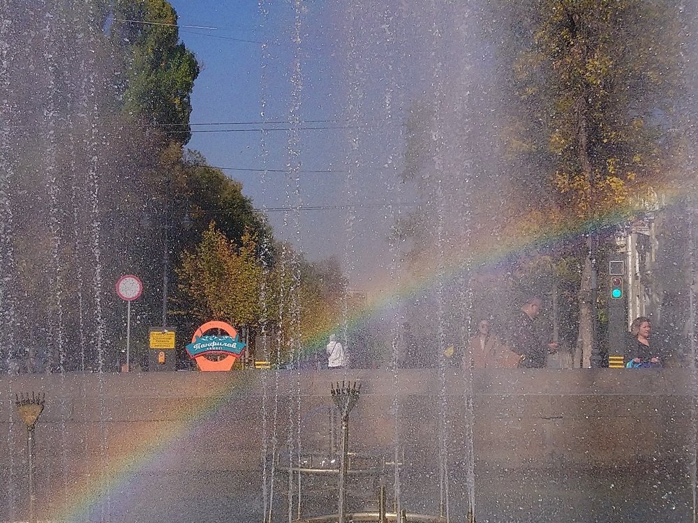 Photo #3753580
