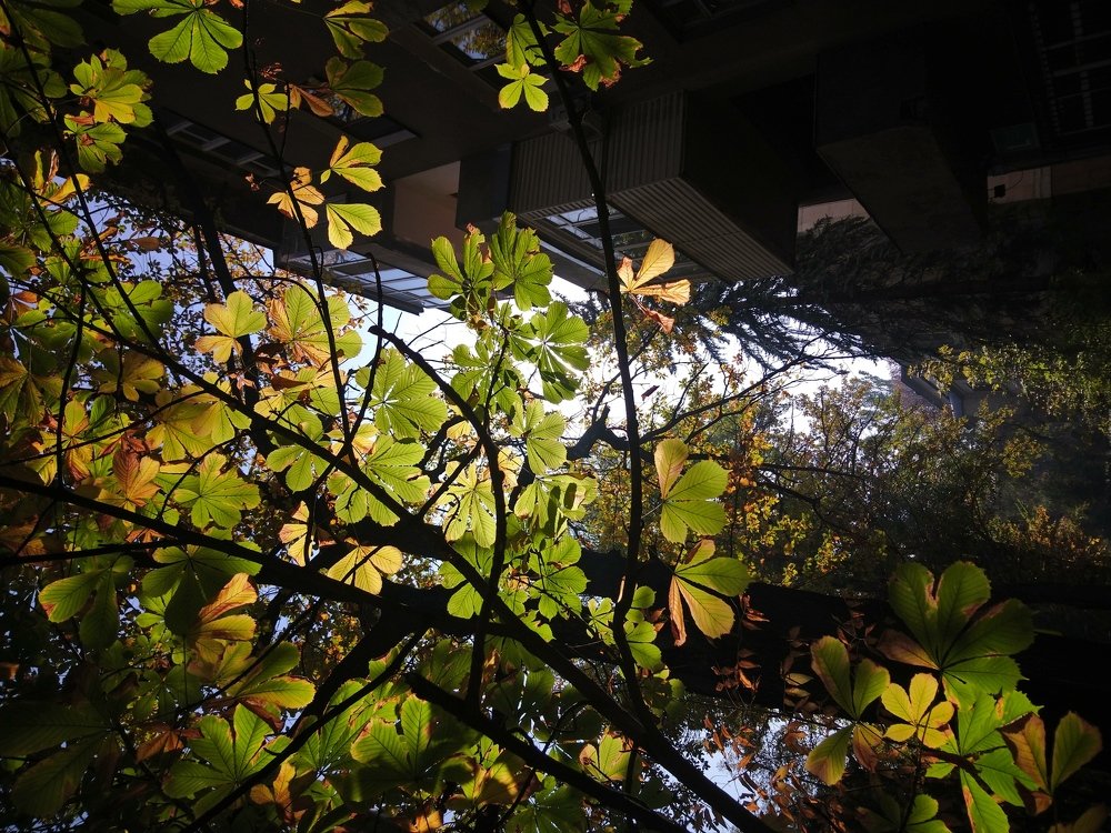 Photo #3753623