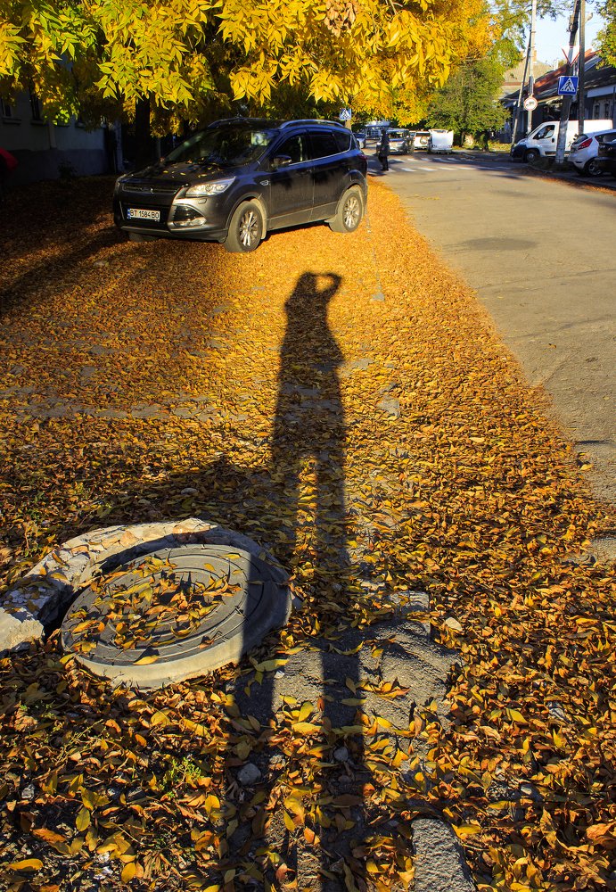 Photograph by Татьяна Алексеева