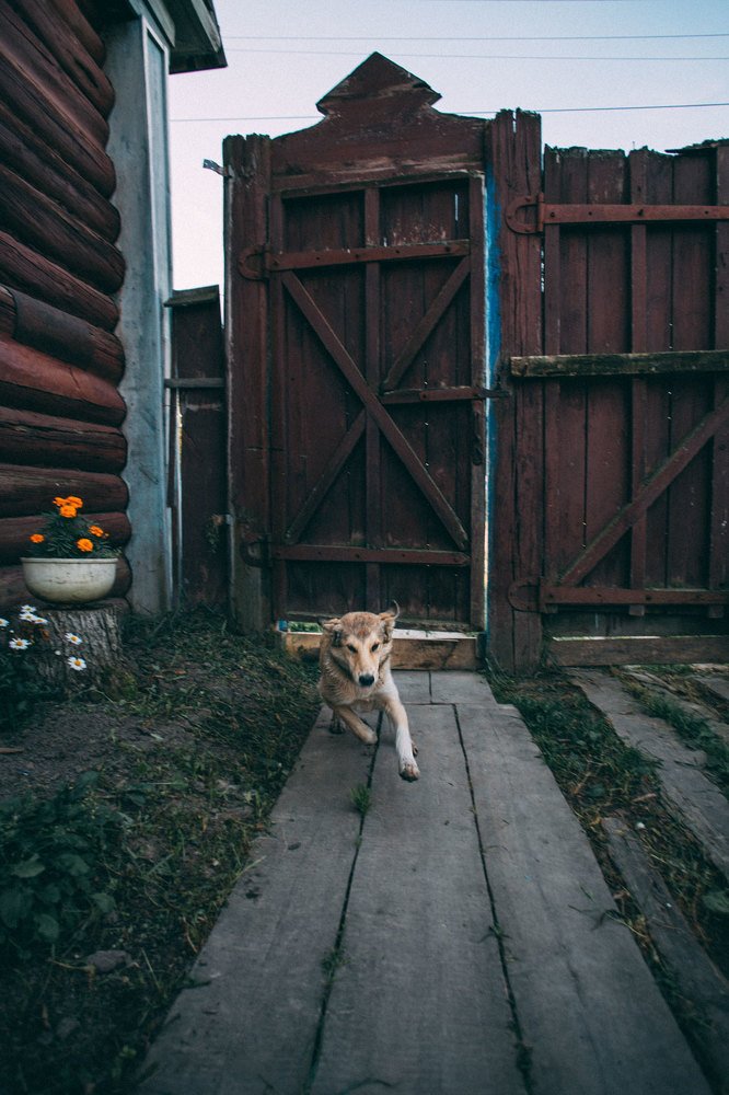 Photograph by Айман Дайрабаева