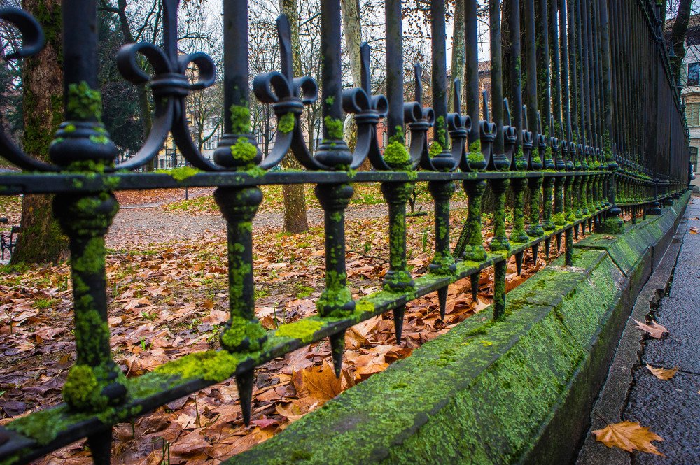 Photograph by Massimo Chiozzi