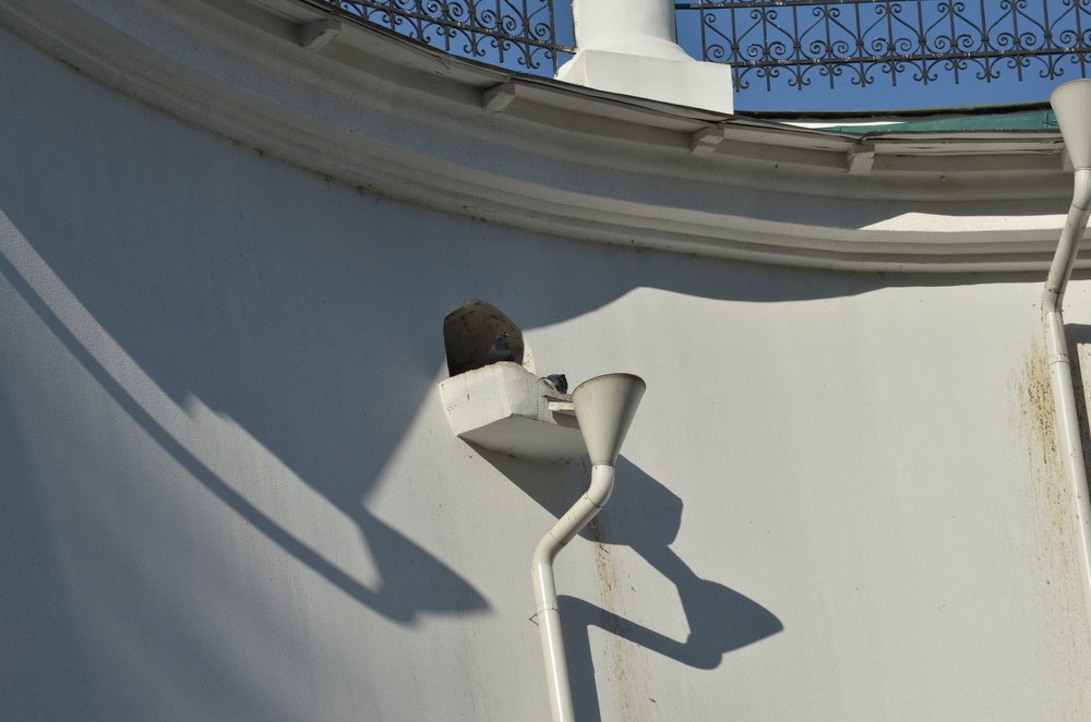 Фотография автора Владимир Брызгунов