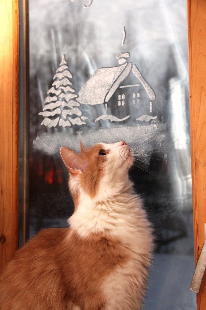 Photograph by Валентина