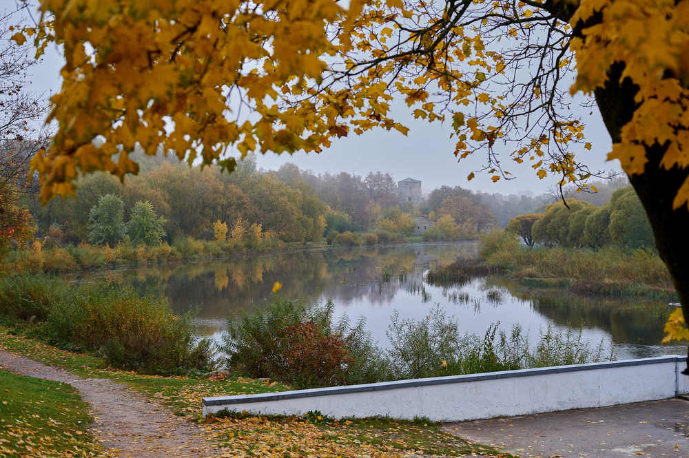 Photograph by Светлана Михайлова