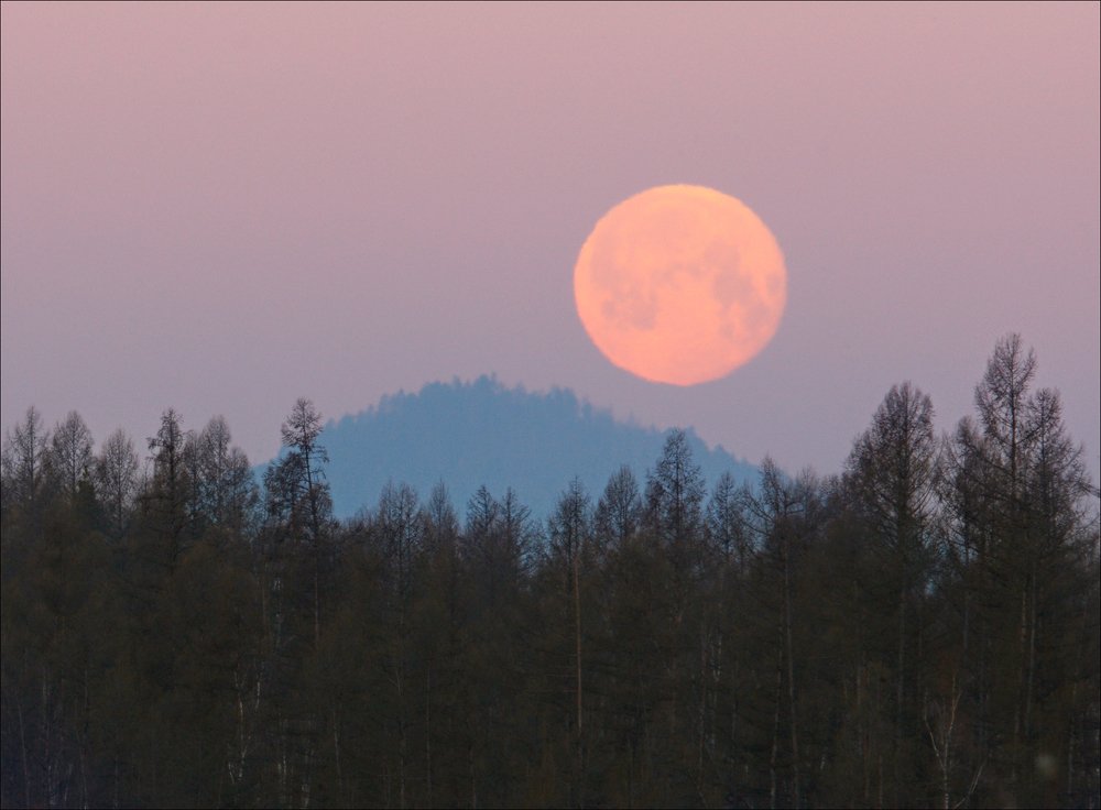 Photograph by Александр Леснянский