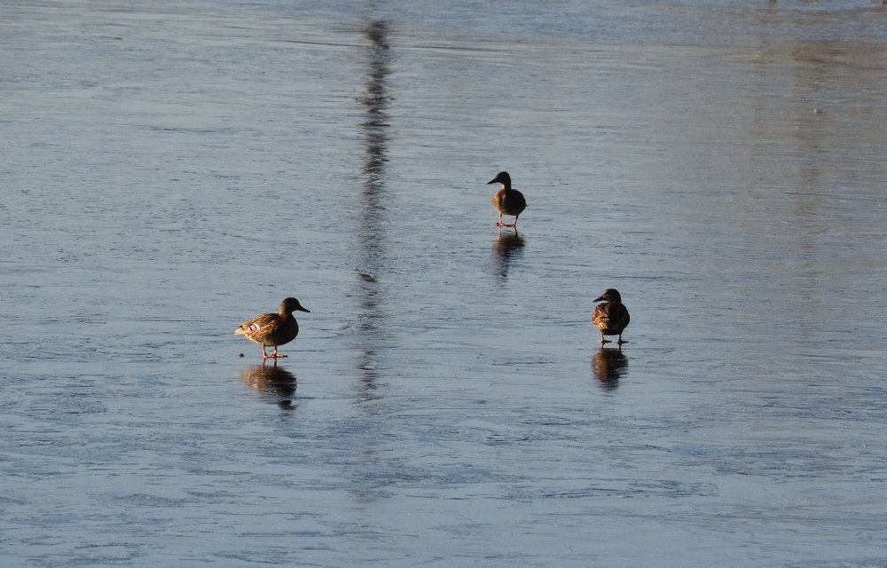 Photograph by Владислав Завальнюк