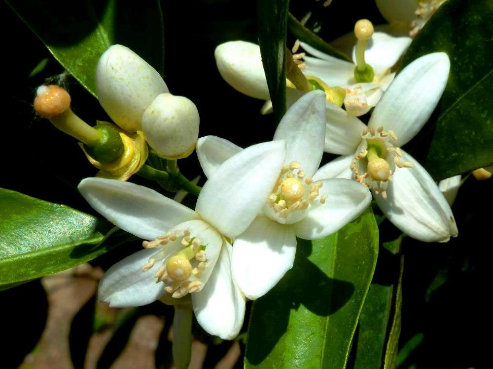 Фотография автора Turgay Uykusuz