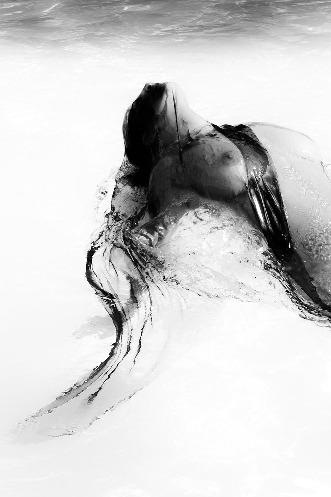 Photograph by Isabelle Campos