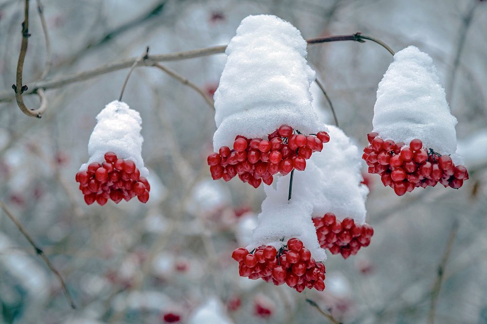 Photograph by Вячеслав Бирюков