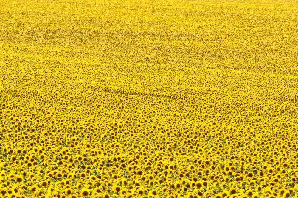 Photograph by Степанов Евгений