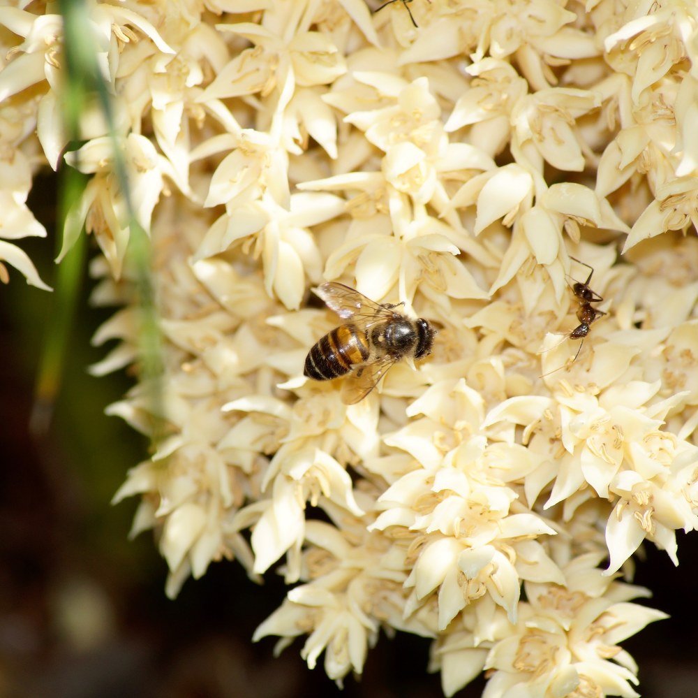 Photograph by Ambewadikar sourabh