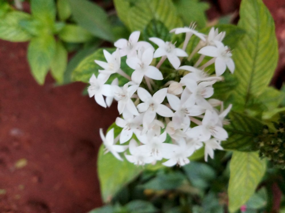 Photograph by Ambewadikar sourabh