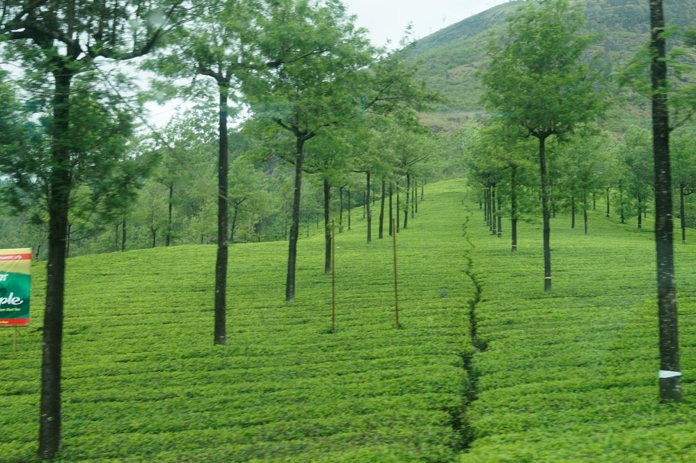 Photograph by Ambewadikar sourabh