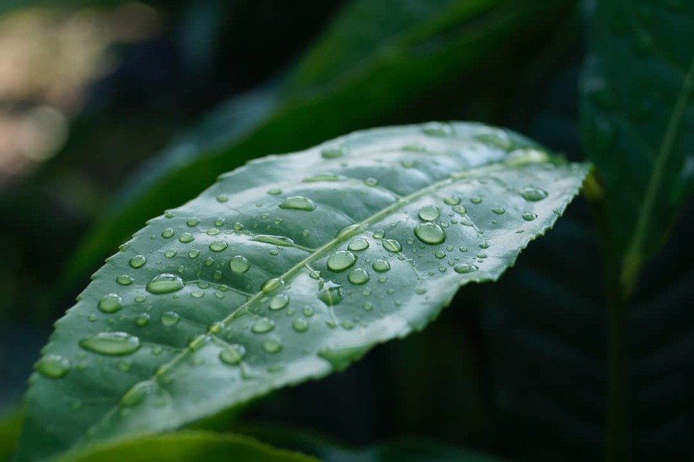 Photograph by Ambewadikar sourabh