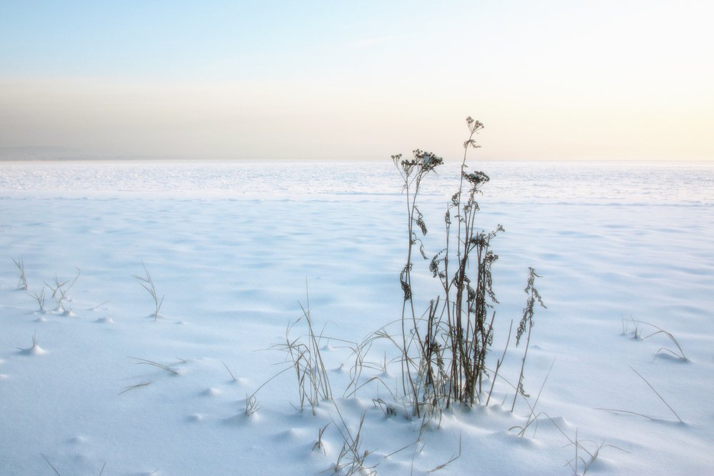 Зимнее утро