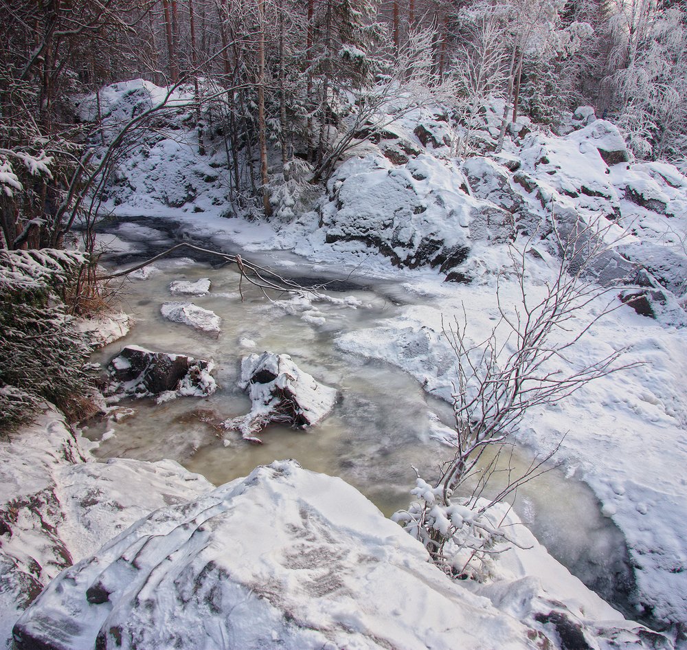 У лесного ручья