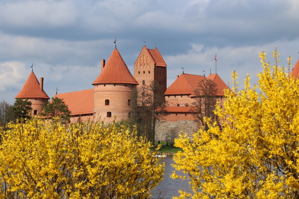 Photograph by Мария Бочкарева