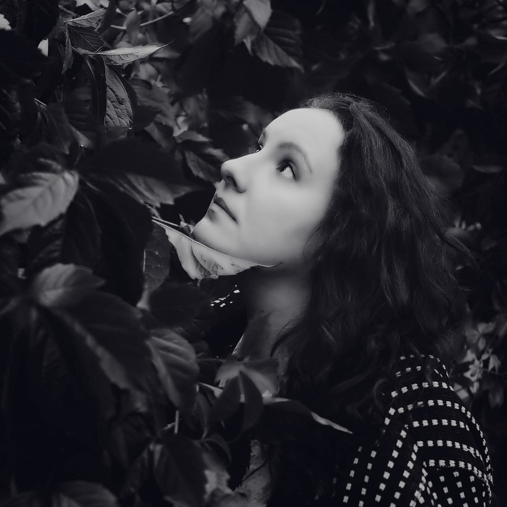 Photograph by Леонид Снег