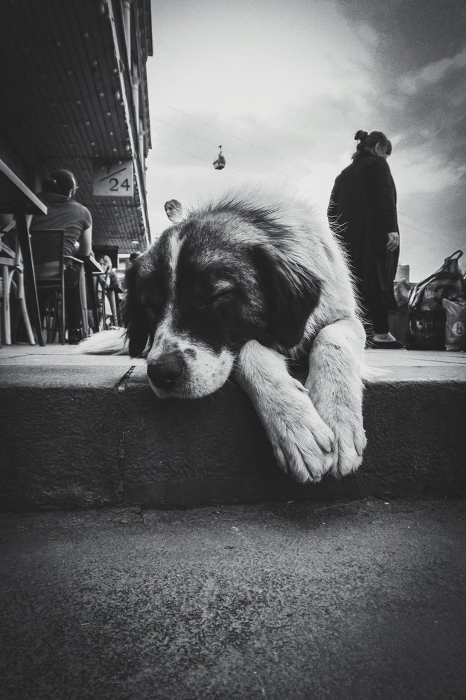 Photo #3754126