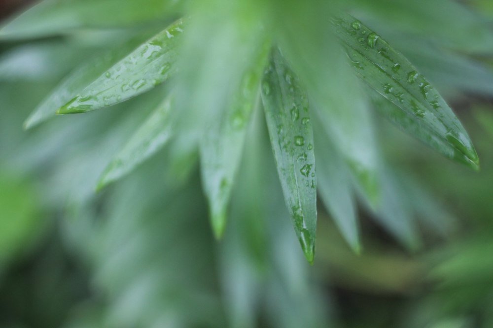 Photograph by Иванченко Ксения