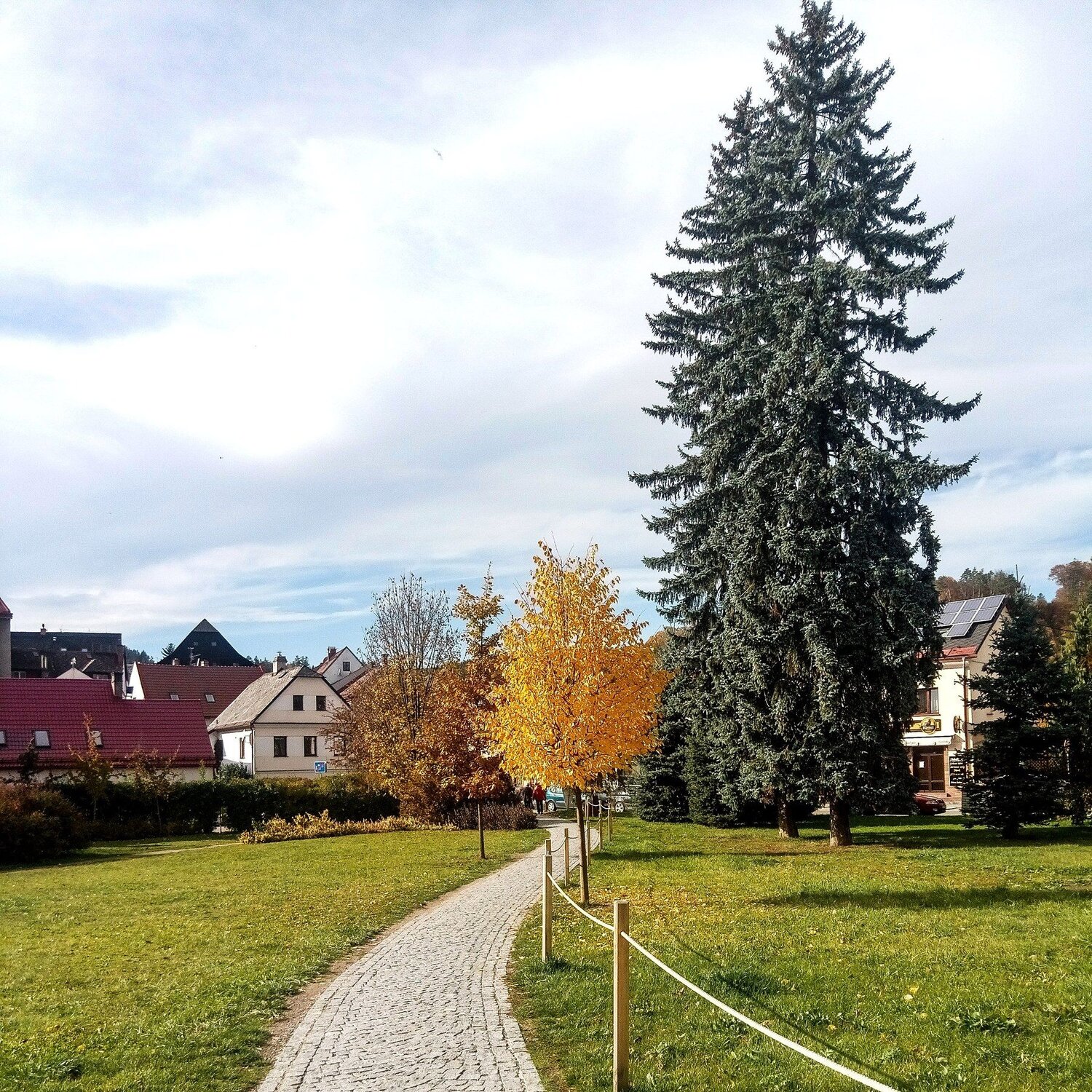 Photo #3754147