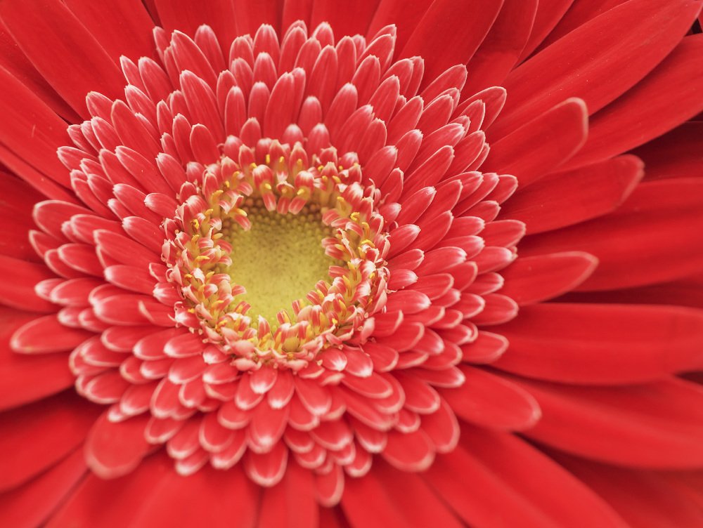 Photograph by Олег Милеев (Каминцев)