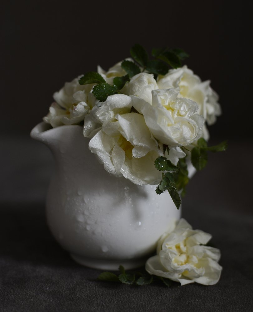 Photograph by Юлия Сергеева