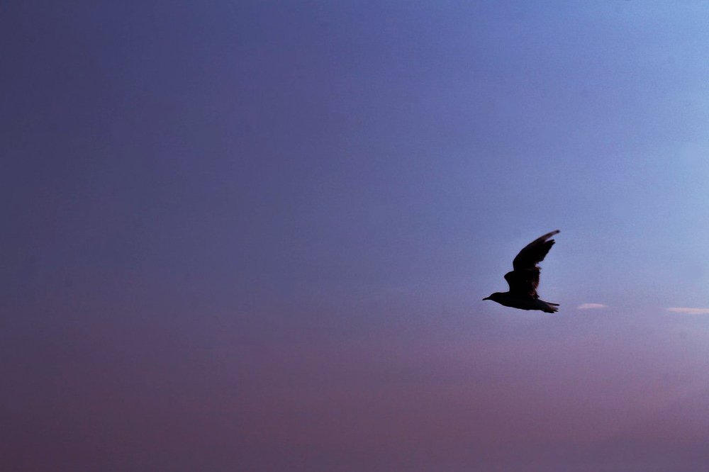 Photograph by Иванченко Ксения