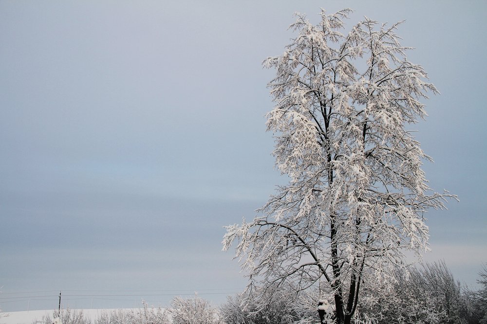 Photograph by Dzianis Mizhui