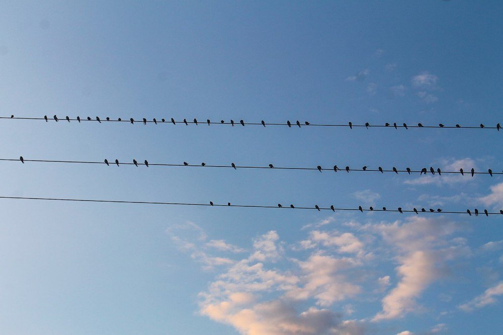 Photograph by Иванченко Ксения