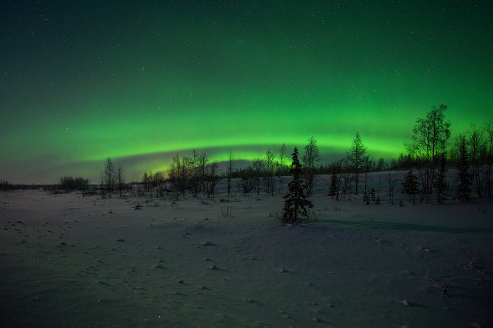 Полярное сияния на тундрой.