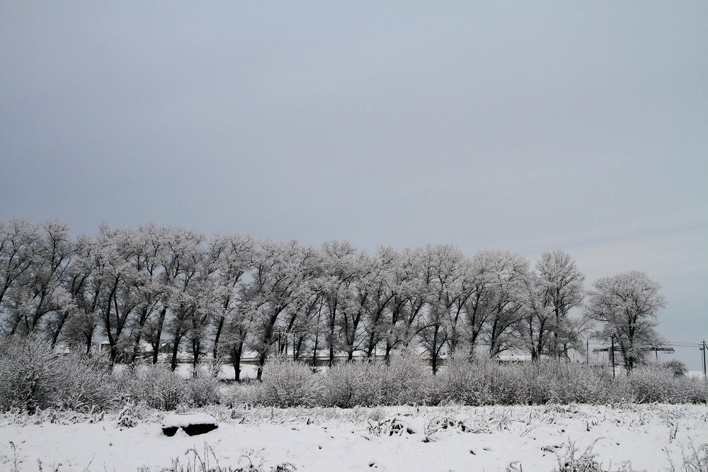 Photograph by Dzianis Mizhui