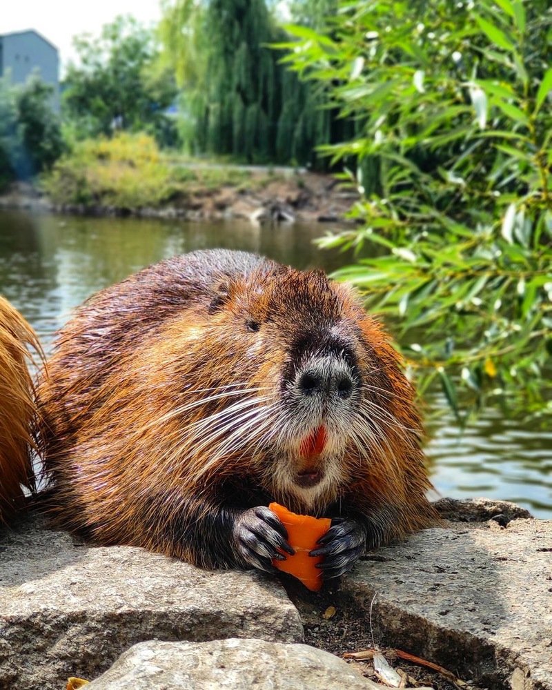 Photograph by Татьяна