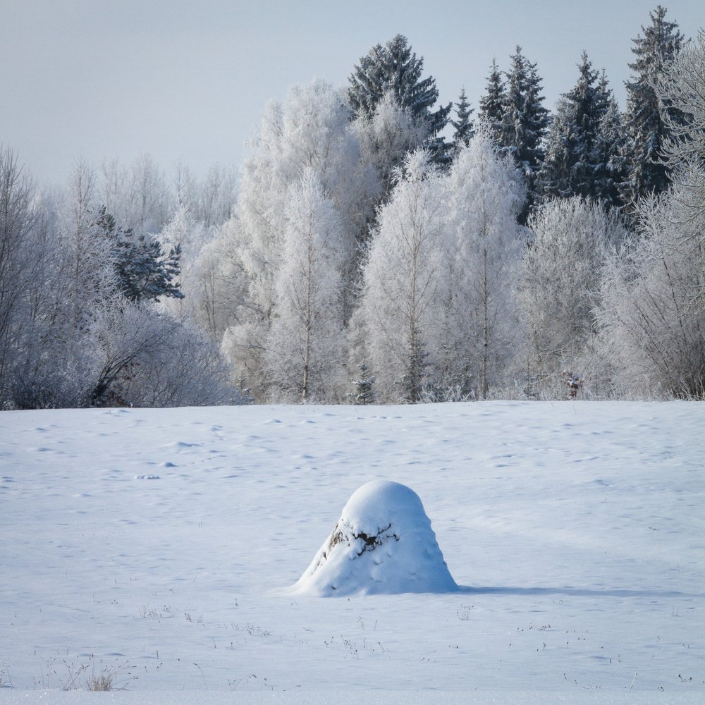 Photograph by Eriks Zilbalodis
