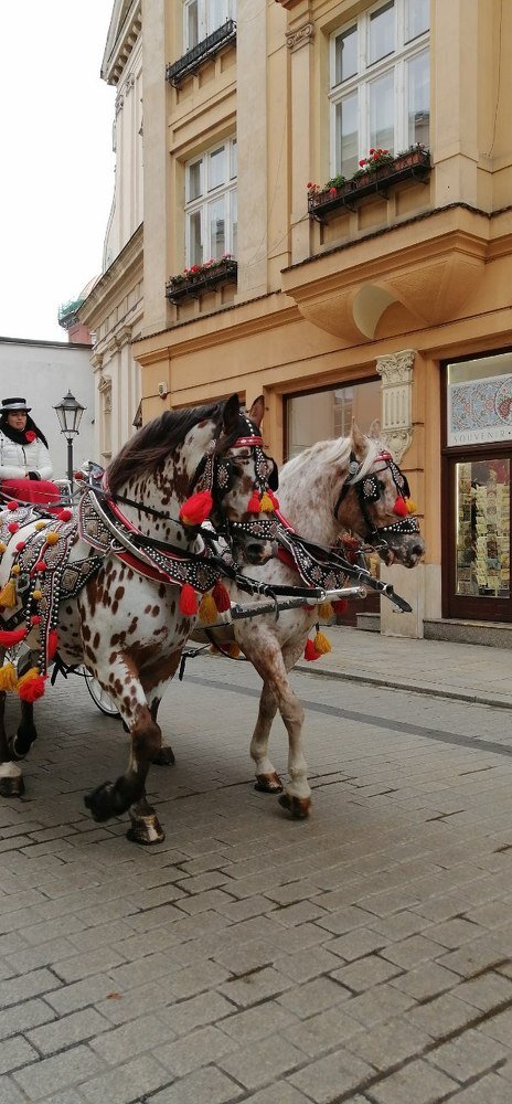 Photograph by Иванченко Ксения