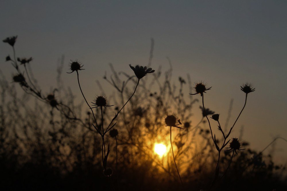 Photograph by Иванченко Ксения