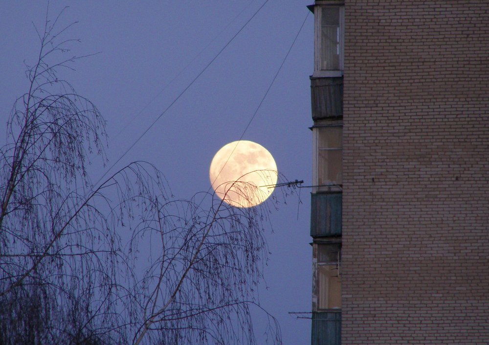 Photograph by Любовь Новикова