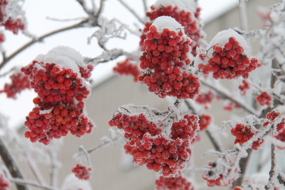 Photograph by Игорь Улитин