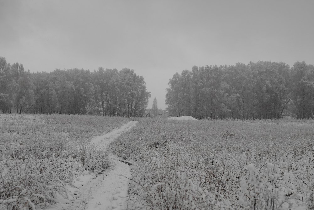 Photograph by Александр Зыков