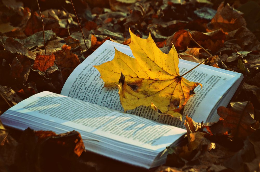 Photograph by Ира Балакова