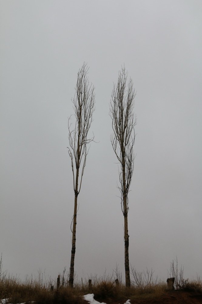 لیلی و مجنون