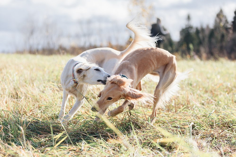Игры на природе