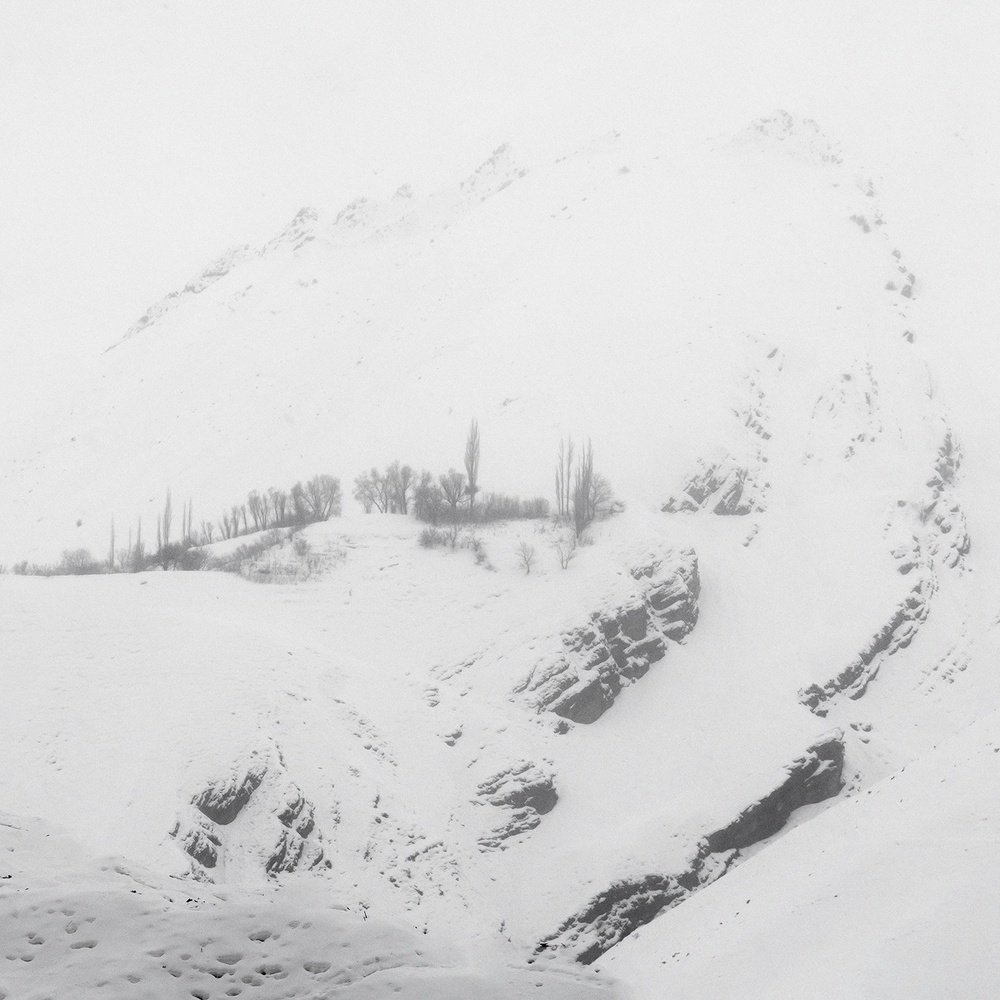 Photograph by Navid Izadi