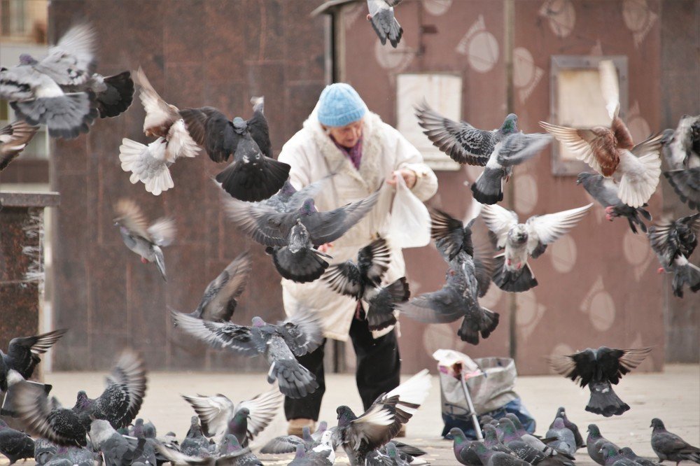 Photograph by Ирина Толмачева